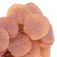 thumbnail image 4 of GOOHOCHY 4 tallos de eucalipto artificiales, hojas de eucalipto, ramas para el hogar y la oficina., 4 of 8