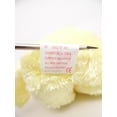 thumbnail image 5 of Ty Beanie Baby: Sherbet the Seafoam Bear | Stuffed Animal | MWMT, 5 of 7