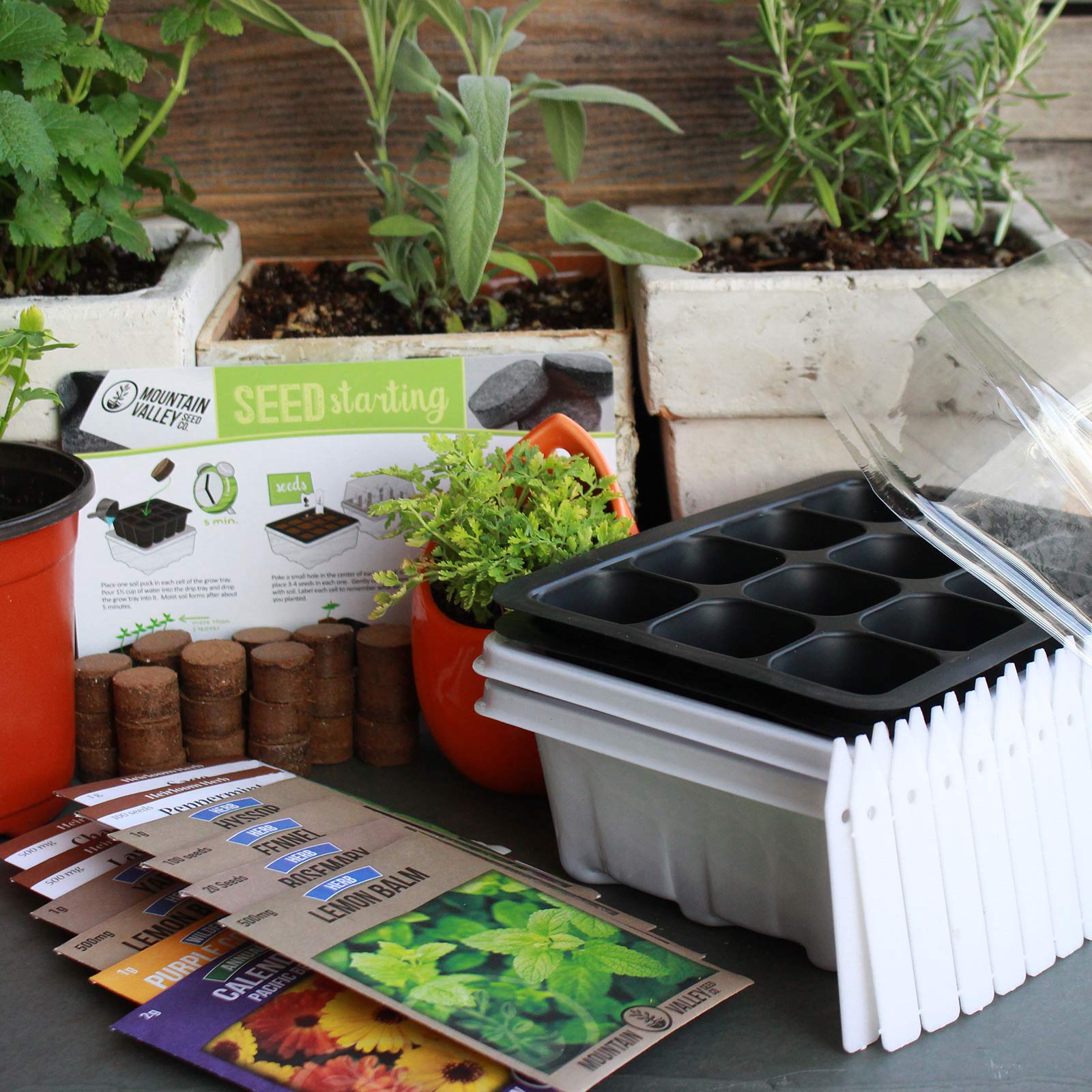 Indoor Medicinal & Herbal Tea Herb Garden Starter - Deluxe Kit - 12 Non-GMO Varieties - Seeds: Peppermint, Hyssop, Fennel, Sage, Lemon Mint, Chamomile, More