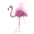 thumbnail image 2 of Shefranov, Olga 26x32 White Modern Wood Framed Museum Art Print Titled - Flamingo V, 2 of 4