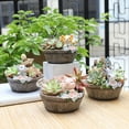 thumbnail image 4 of Pot de Fleurs Animal Mignon Style Campagnard Américain Pots Succulents Mini Pot de Fleurs en Résine, 4 of 5