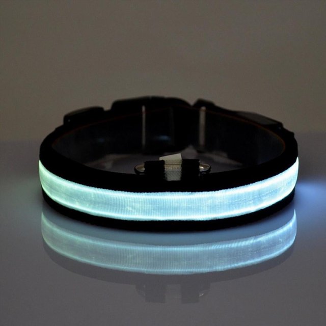 2022 Latest Safety LED Dog Collar – USB Rechargeable with Water Resistant Flashing Light Orange