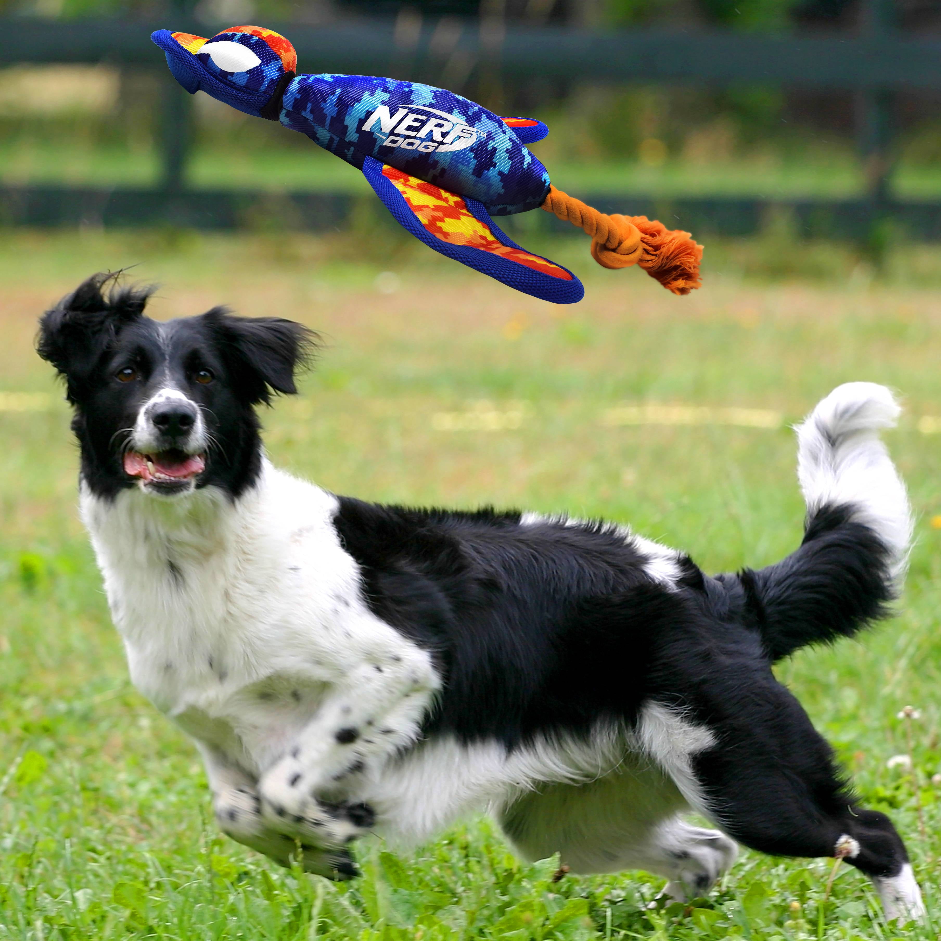 Nerf Dog Large Nylon Launching Duck with Interactive Design 