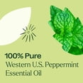 thumbnail image 4 of Plant Therapy Peppermint Western U.S. Essential Oil 10 mL (1/3 oz) 100% Pure, Undiluted, Natural Aromatherapy, 4 of 8