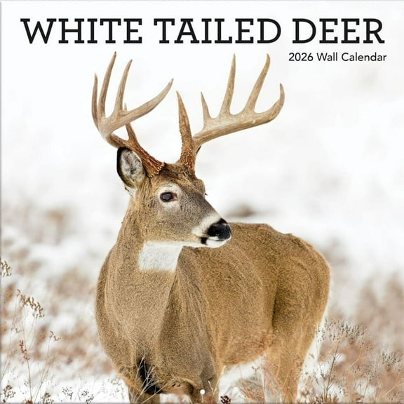 Turner Licensing, White Tailed Deer 2026 Wall Calendar, 12'' X 12'', 12-Month Calendar with Stapled Binding