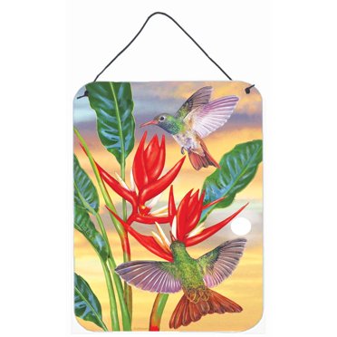 Carolines Treasures PRS4019DS1216 Buff Bellied Hummingbird Wall or Door Hanging Prints 12x16 multicolor