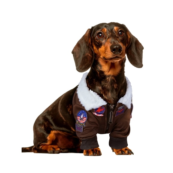 Top Gun Pet Costume for Dogs or Cats by Rubies, XS