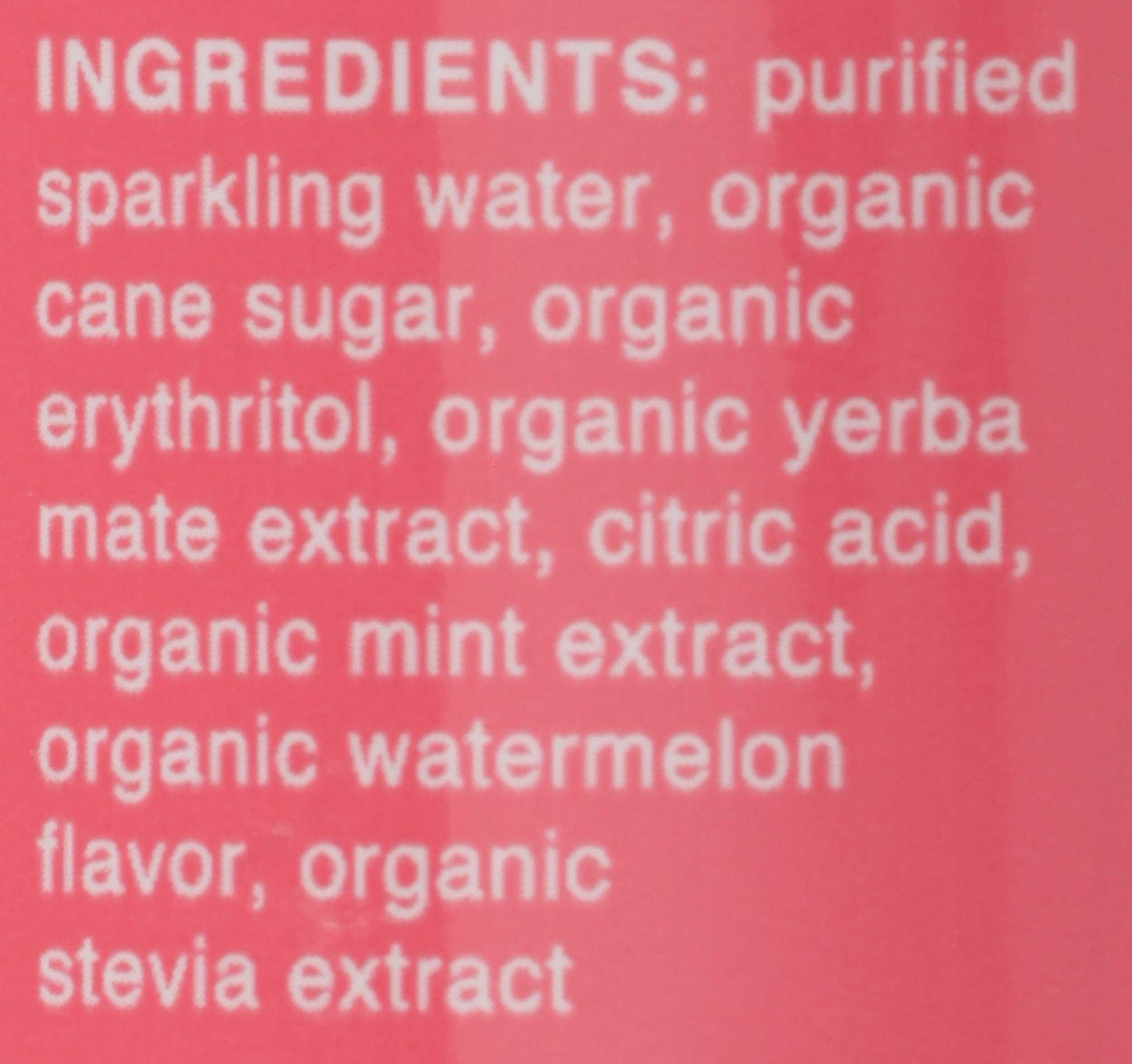 Clean Cause Organic Zero Calorie Watermelon Mint Sparkling Yerba Mate, 16 Ounce -- 12 per Case.