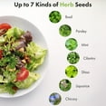 thumbnail image 2 of LYKO Herb Seeds Pod Kit for AeroGarden, idoo, 3-pods (350 Seeds+, Include Basil, Parsley, Mint, Cilantro, Shiso, Liquorice), 2 of 7