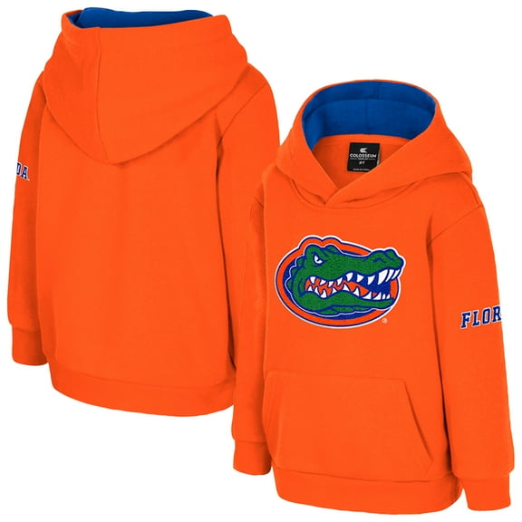 Toddler Colosseum Orange Florida Gators Big Logo Volume Fleece Pullover Hoodie