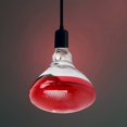 thumbnail image 4 of Dsscvnef Livestock Heat Lamp Farm Animal Warming Light for Piglets/Chicks/Lambs Brooder Bulb with Ceramic Socket (250W), 4 of 6