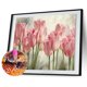 thumbnail image 4 of Punto Cruz 5D DIY Taladro Costura Artesanía Mosaico Kit Del Rosa, 4 of 9