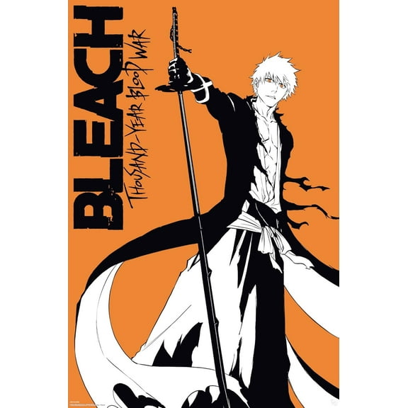 Bleach: Thousand-Year Blood War - Anime TV Show Poster (Ichigo Kurosaki) (Size: 24" x 36")