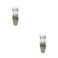 thumbnail image 1 of Bearachild Arreglo floral artificial para la vida orgánica y el atractivo estético Decoración natural Arreglo floral Artificial verde y blanco verde y blanco 2Conjunto, 1 of 6