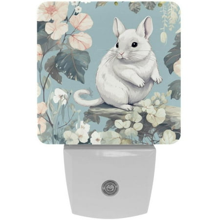 

Cute Chinchilla and Flowers Floral 2 Pack Night Lights Plug Into Wall Decorative With Auto Dusk-To-Dawn Sensor LED Night Light For Kids Adults Rooms Toilet Hallway Stairs