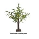 thumbnail image 2 of Yuarrent Lámpara de árbol bonsái elegante y práctica, luz que cuida los ojos, regalo, lámpara LED en forma de árbol, luz nocturna, Type3 NO3, 2 of 6