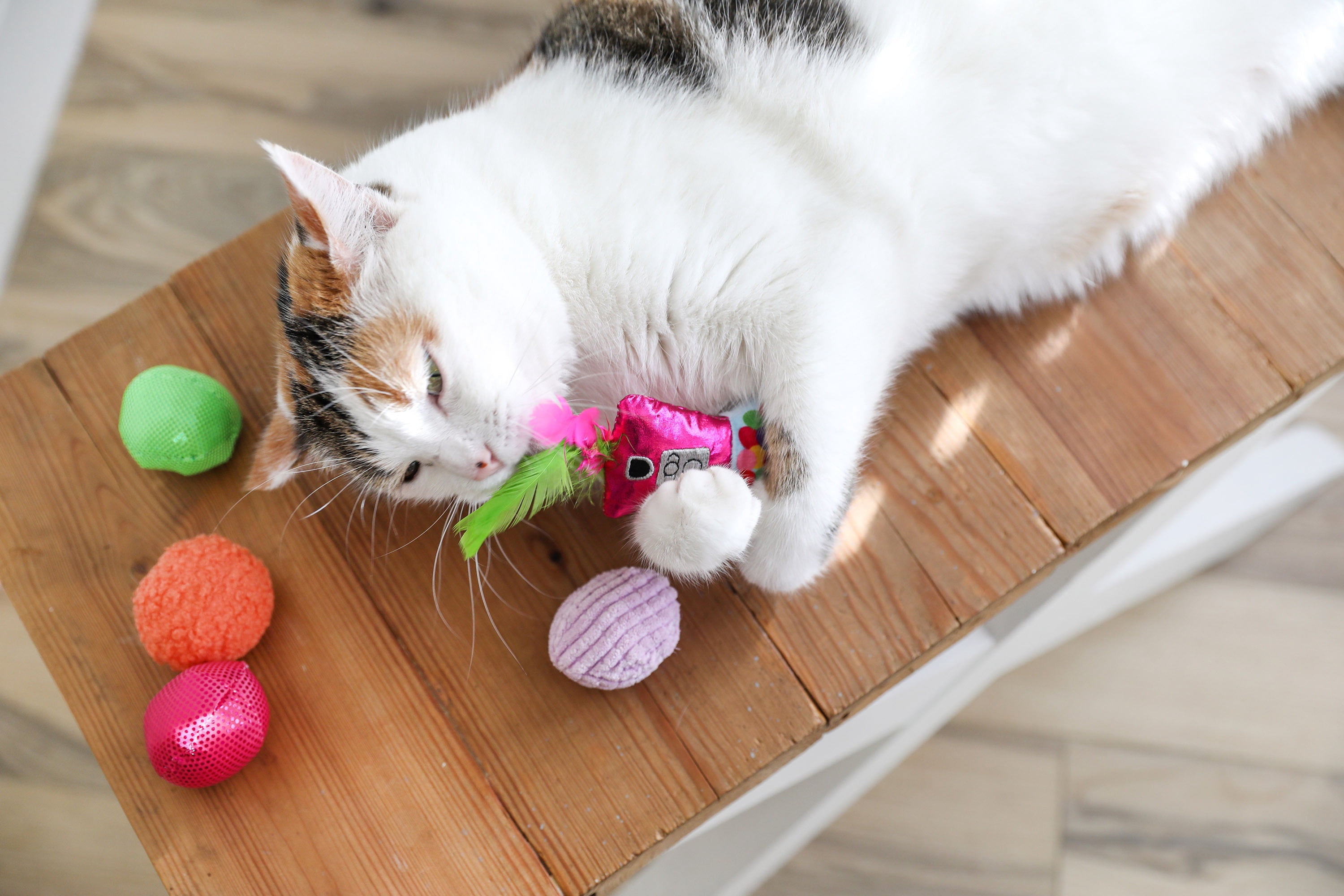 Quirky Kitty Batty Bubble Gum Chase and Pounce Catnip Cat Toy, Pack of 7