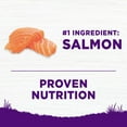 thumbnail image 2 of Wellness Complete Health Sensitive Skin & Stomach Natural Adult Salmon & Rice Recipe Dry Dog Food, 10.88-kg bag, 2 of 5
