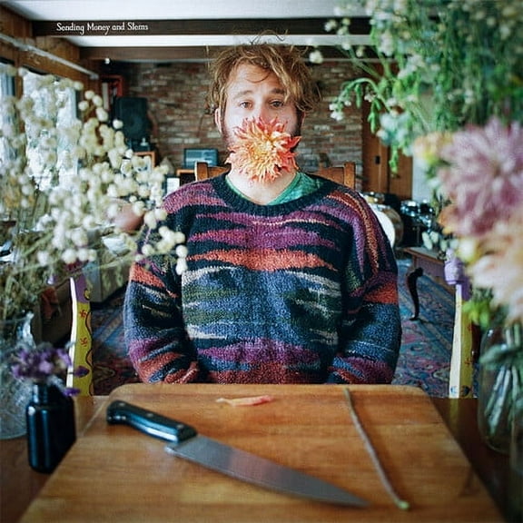 Joe Kaplow - Sending Money & Stems - Music & Performance - CD