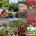 thumbnail image 6 of The Village - Roasted by Joe Coffee Company - Whole Bean Coffee - 5lb Bag, 6 of 7