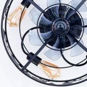 Dayu 20 Inch Matte Black Rustic Flush Mount Wildlife Forest Caged Enclosed Ceiling Fan with Light and Remote Control