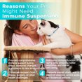 thumbnail image 2 of Welsdom Pets Immune Support Liquid Supplement - 60mL | Comprehensive Immune Boost for Cats & Dogs | Antioxidant-Rich Formula | Promotes Digestion & Recovery | Easy-to-Administer Veterinary Blend, 2 of 6