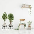 thumbnail image 4 of BiJun Metal Plant Stands Flower Pot Outdoor Heavy Duty Planter Rack Holder（2-Pack）, 4 of 6