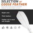 thumbnail image 2 of Edtech Badminton Birdies Shuttlecocks High- Speed Goose Feather Durable Training Badminton Birdie | White , Pack Of 12, 2 of 2