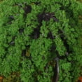 thumbnail image 4 of 100 Pieces Train Model Trees :100 - 300 Railroad Scenery, 4 of 8
