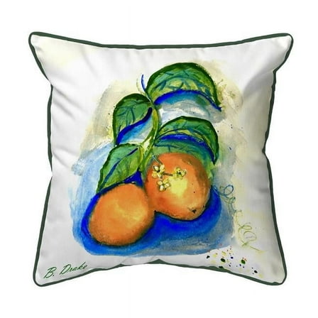 Betsy Drake SN1206 12 x 12 in. Two Oranges Indoor & Outdoor Pillow - Small