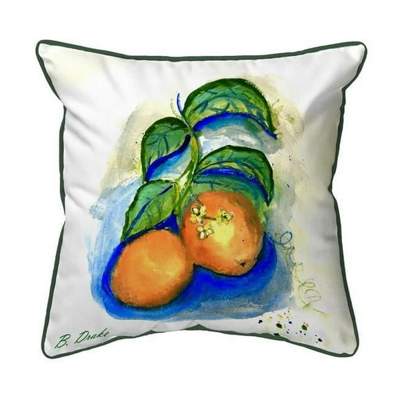 Betsy Drake SN1206 12 x 12 in. Two Oranges Indoor & Outdoor Pillow - Small