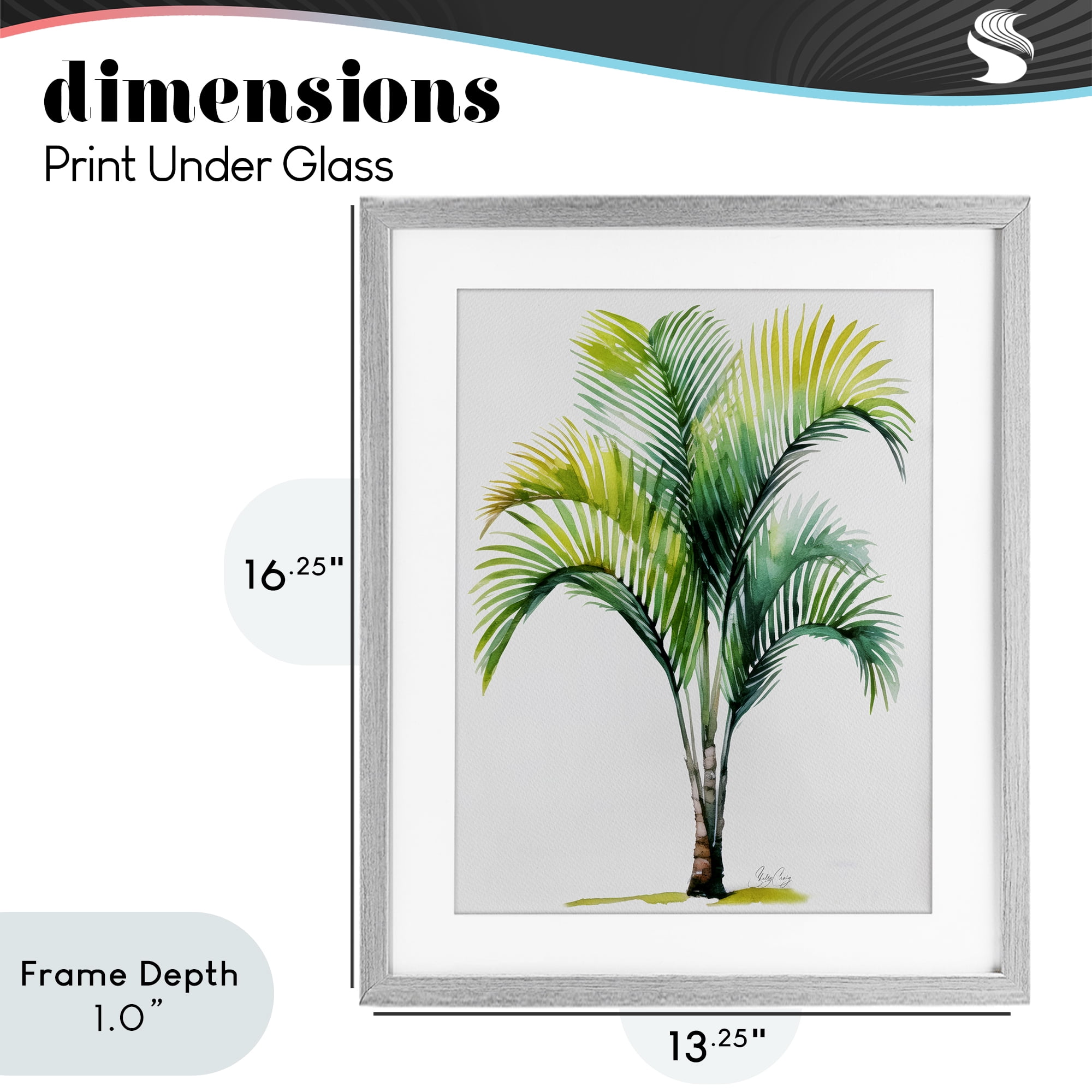 Stupell Industries Coastal Canopy Palm Tree Gray Framed Print Under Glass, design by Shelly Craig