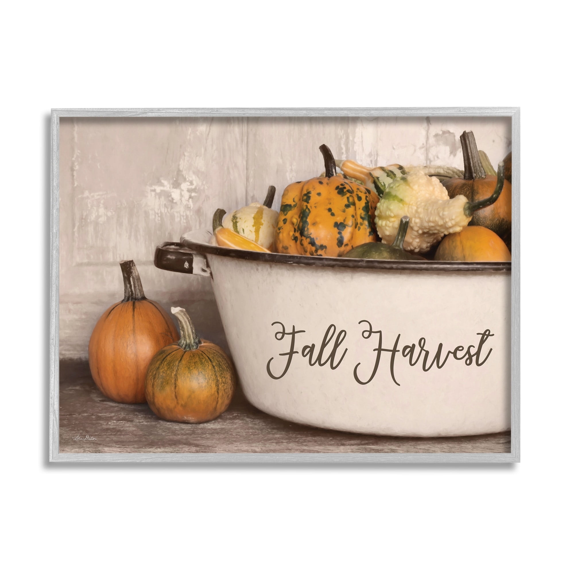 Fall Harvest Bowl Gourds Pumpkins Arrangement Still Life Botanical & Floral Graphic Art Framed Art Print Wall Art