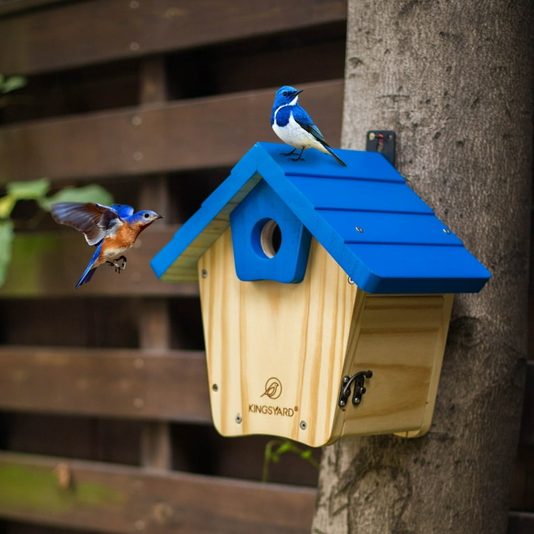 Bluebird House