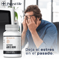 thumbnail image 4 of Adaptógeno Melena de León Suplemento | Memoria, Concentración y Enfoque | Neuroprotector Natural, 4 of 6