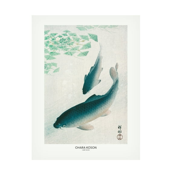 Trademark Fine Art Pictufy Carp Or Koi Canvas Wall Art