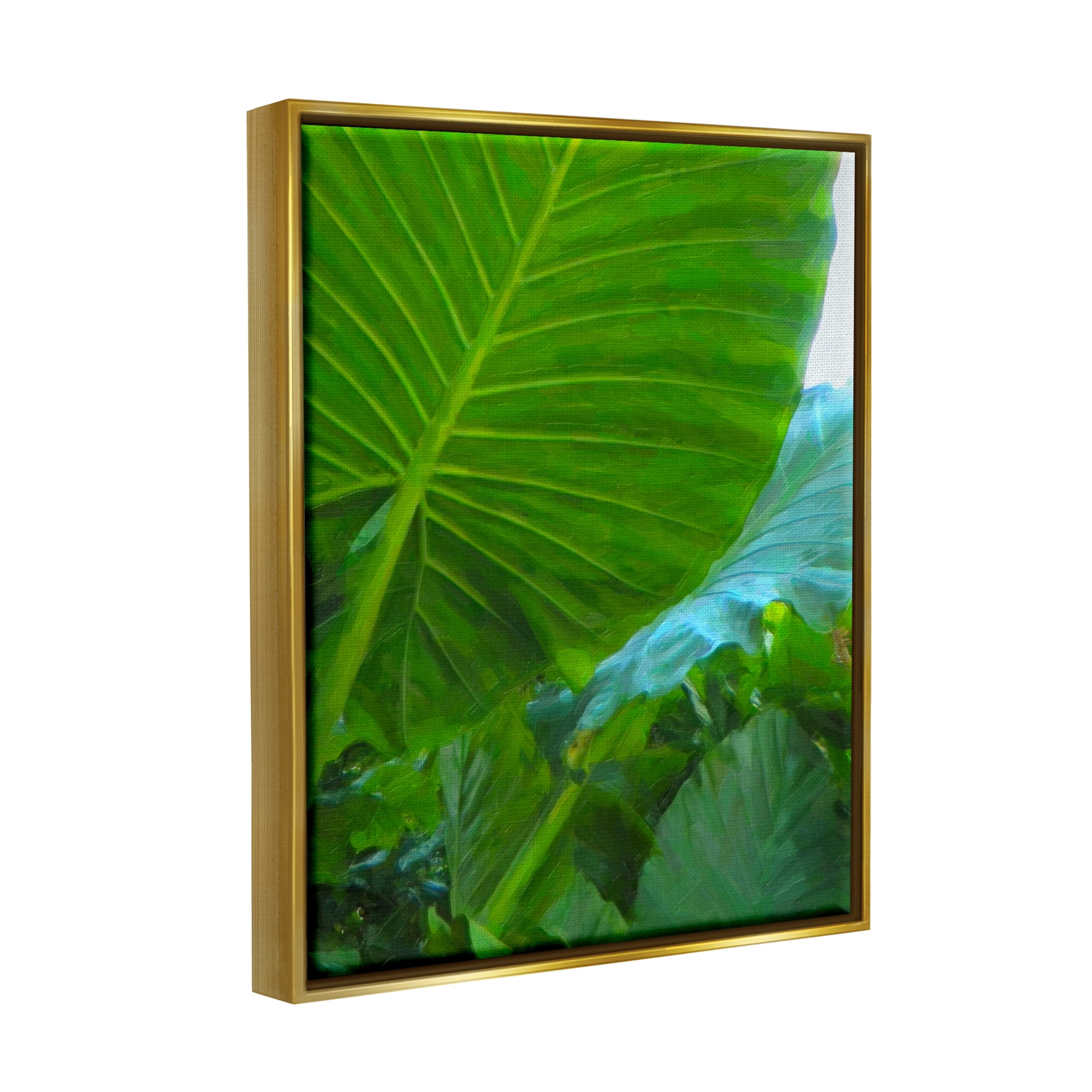 Stupell Industries Green Palm Leaf Painting Botanical & Floral Photography Gold Floater Framed Art Print Wall Art, 25 x 31