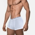 thumbnail image 2 of QIYULANC Ice Silk Men Underwear Pack Breathable Brief Mesh With Pouch Moisture-Wicking Man Underpant 3 PACK, 2 of 10