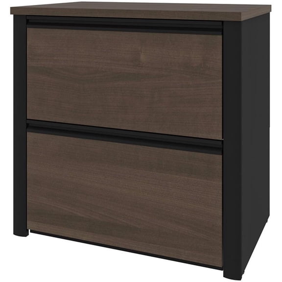 Pemberly Row 2 Drawer Lateral File Cabinet in Antigua and Black