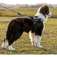 thumbnail image 2 of 3m/10ft Dog Tie Out Cable,steel Wire Pet Leash Reflective Canine Lead For Medium Large Dogs Up To 130lbs, 2 of 5