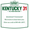 Expert Gardener Kentucky 31 Tall Fescue Grass Seed, 50 lb.