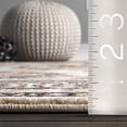 thumbnail image 2 of nuLOOM Carolina Fading Tribal Medallion Fringe Area Rug, 9' x 12', Carolina Beige, 2 of 5