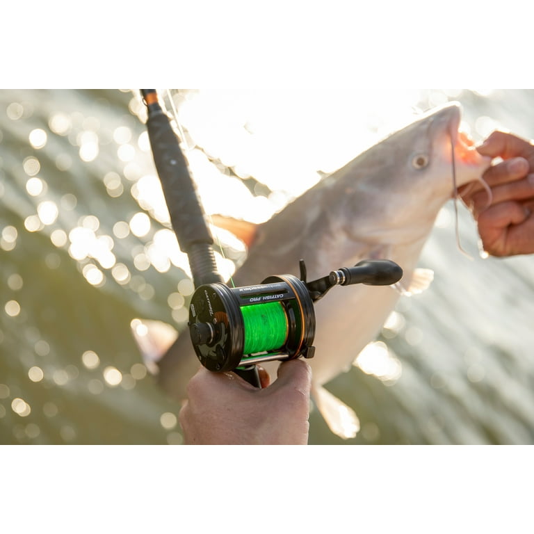 Abu Garcia Ambassadeur Catfish Pro Round Baitcast Fishing Reel : Sports &  Outdoors 