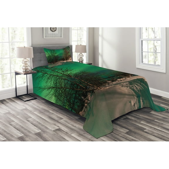 Ambesonne Landscape Quilted Bedspread Set 2 Pcs, Snowy Frozen Road, Twin Size, Jade Green Brown White