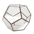 thumbnail image 1 of simhoa Geometric Terrarium Box Decor Fern Planter Holder Decor - C2 5.9 x 5.9 x 5.9 inch, 1 of 8