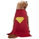 thumbnail image 4 of DC Comics Pet Costume, Superman, Medium, 4 of 5