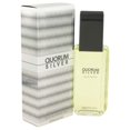thumbnail image 1 of Perfume Puig Quorum Silver Eau De Toilette 100 ml para hombre, 1 of 1