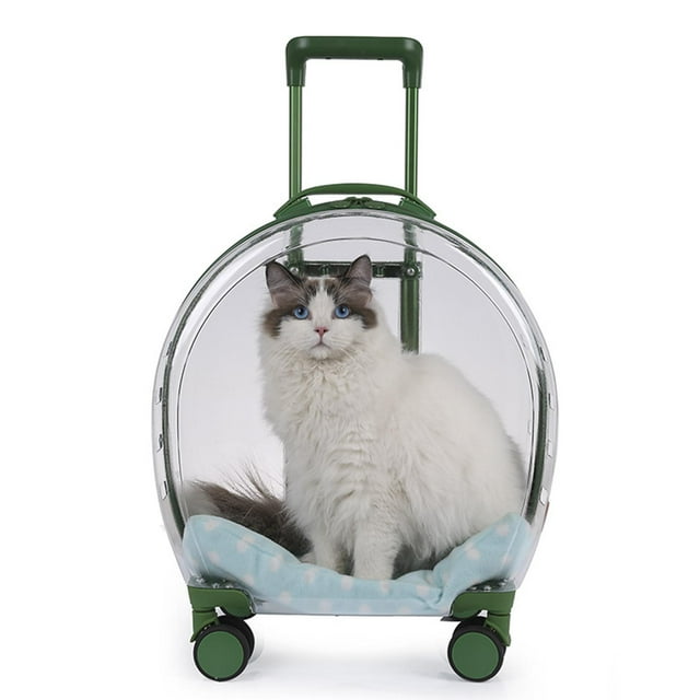 Maleta portátil para mascotas Salvador Bolsa de equipaje de gato transparente Caja de la carretilla