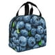 thumbnail image 2 of Easygdp Fresh Blueberries Bolsa Térmica Premium - Tela Oxford Impermeable, Gran Capacidad, Bolsillo Frontal, Unisex para Trabajo, Escuela, Actividades al Aire Libre y Picnics, 2 of 8