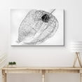 thumbnail image 2 of PixonSign Canvas Print Wall Art Dried Transparent Chinese Lantern Plant Botanical Wilderness Photography Realism Modern Closeup Dramatic Dark Black and White for Living Room, Bedroom, Office - 24"x36", 2 of 5